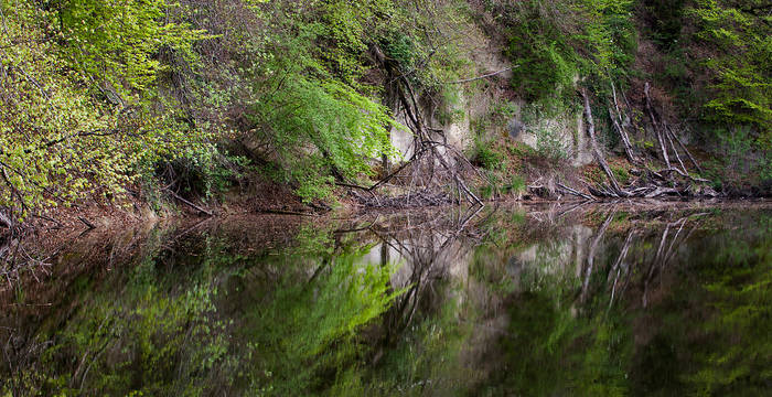 Weiher