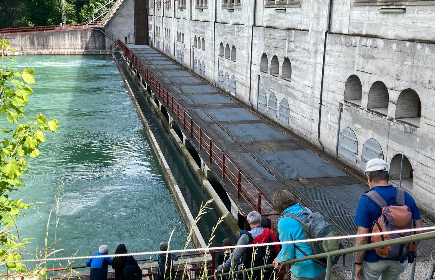 Fischlift Wasserkraftwerk Mühleberg