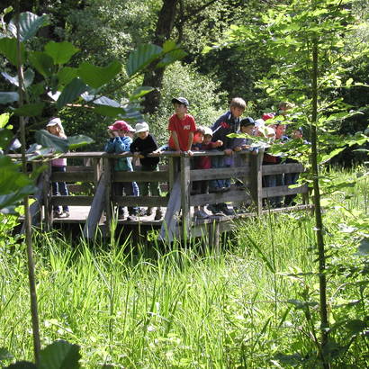 Umweltbildung im Eichholz